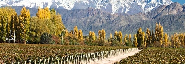 MENDOZA
