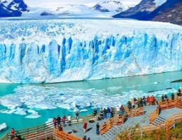 CALAFATE 